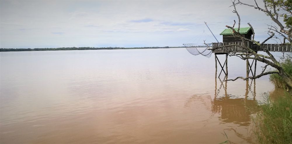 Estuaire de la Garonne - Fleuve - Nouvelle Vague l'épicerie de la pêche à Bordeaux - France