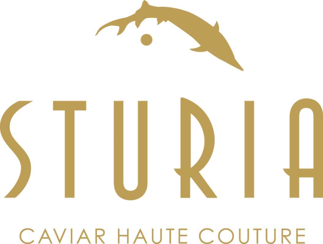 Logo Sturia - Conserverie - France -Caviar esturgeon poutargue rillettes - Nouvelle Vague l'Epicerie de la Pêche à Bordeaux