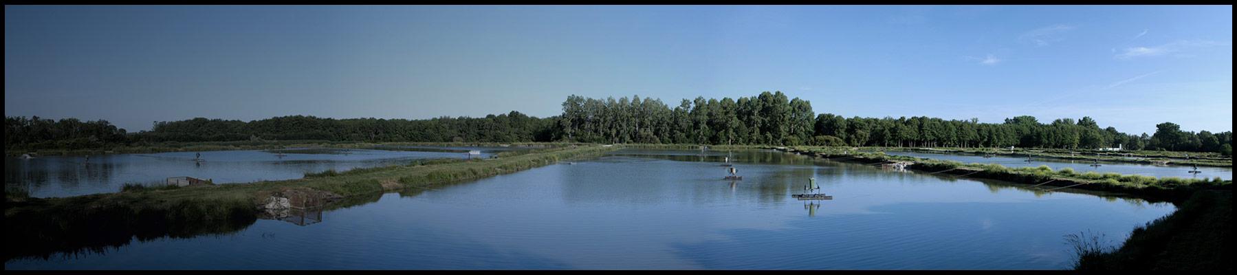 Piscicultures de Dordogne - Sturia - Caviar de Gironde - Conserves de poissons France - Nouvelle Vague Epicerie fine de la pêche