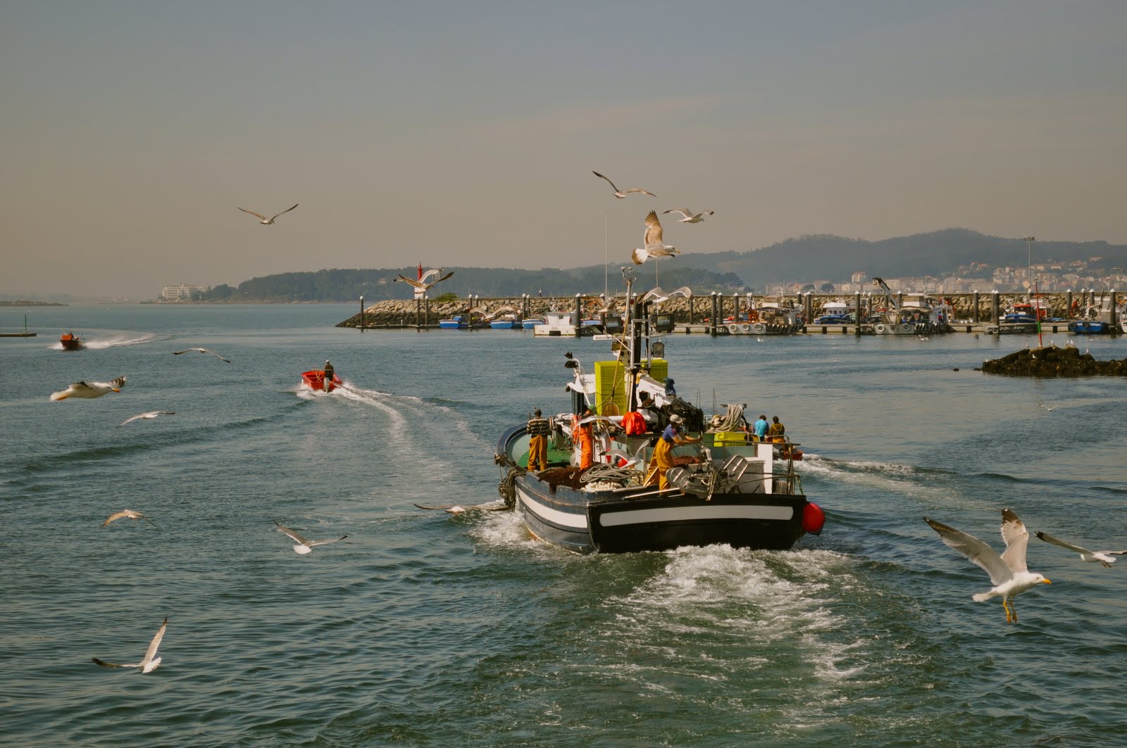 Départ pour la pêche en Galice - Real Conservera Espanola - Nouvelle Vague l'épicerie fine de la pêche à Bordeaux