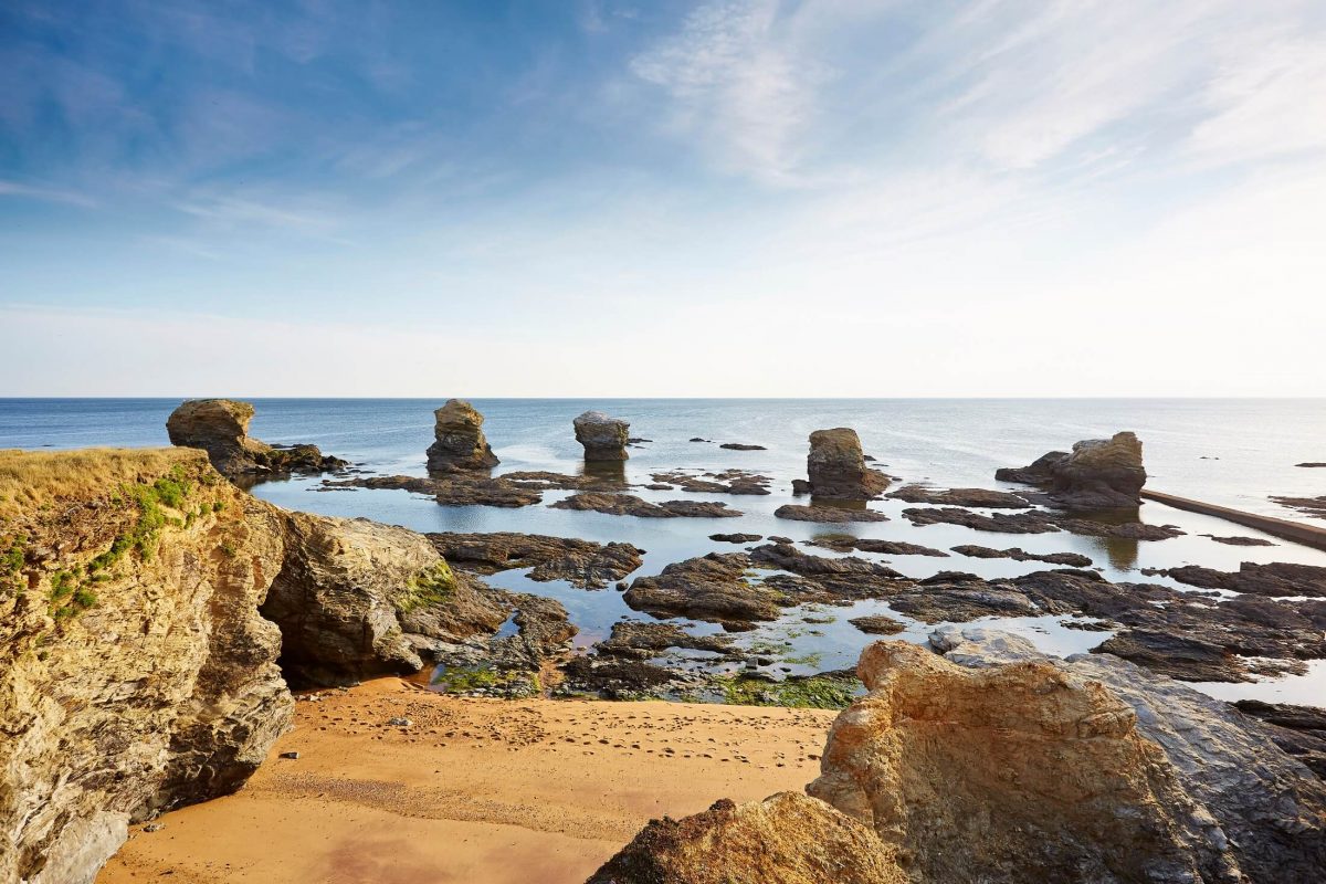 Rochers en Vendée - La Perle des Dieux - Nouvelle Vague l'épicerie fine de la pêche à Bordeaux